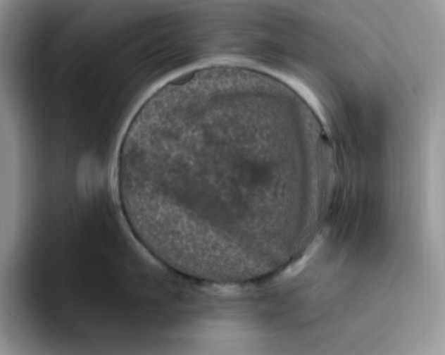 X0000091730911200709141223