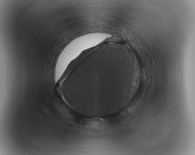 X0000091730916200709141222