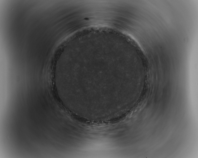 X0000091730919200709141222