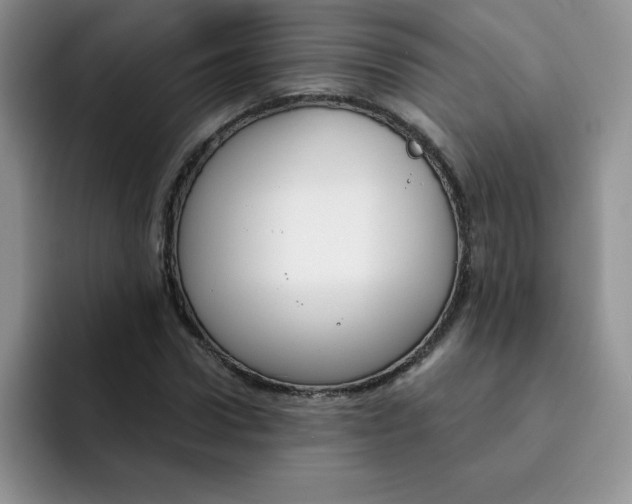 X0000091730922200709141222