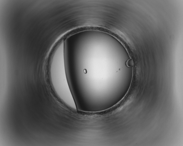 X0000091730926200709141222