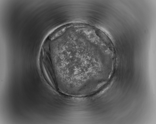 X0000091730928200709141222