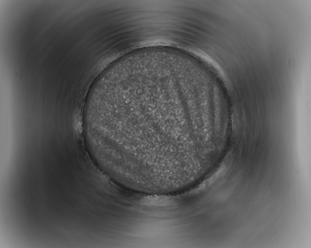 X0000091730929200709141222