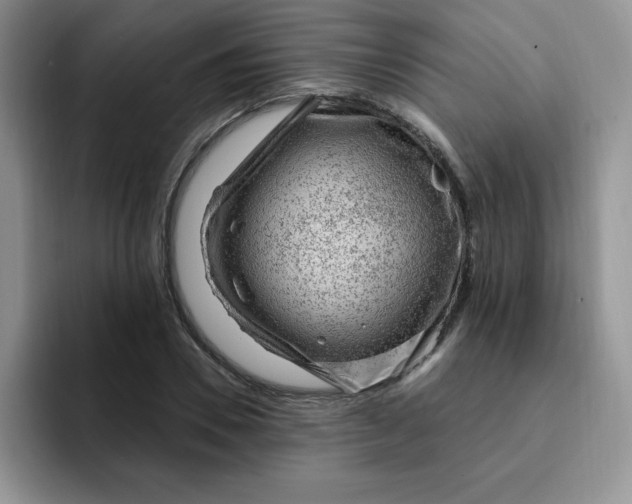 X0000091730930200709141222