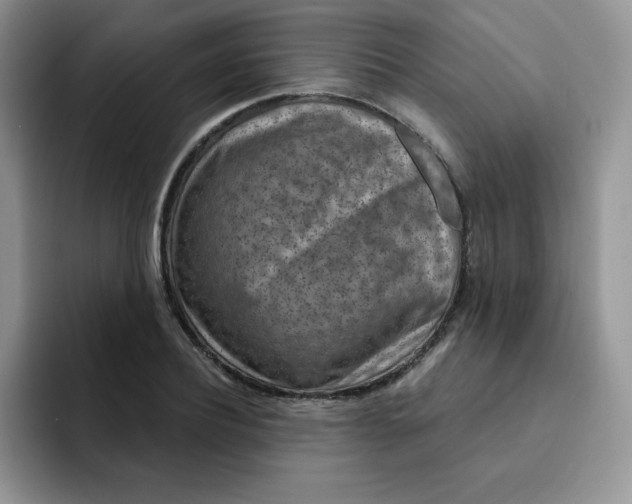 X0000091730932200709141222