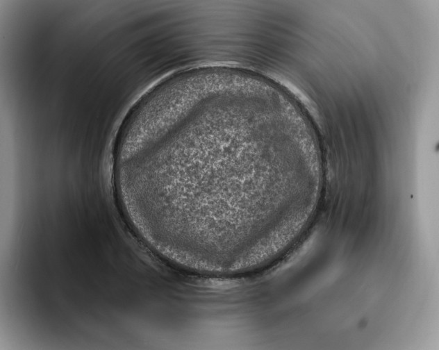 X0000091730933200709141222