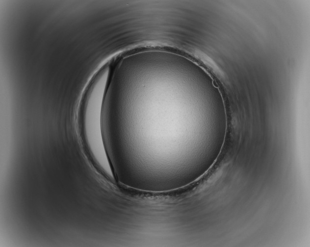 X0000091730934200709141222