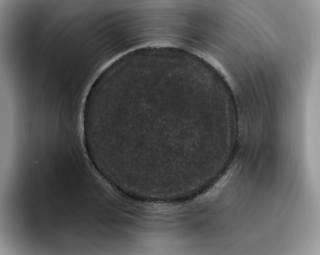 X0000091730935200709141222