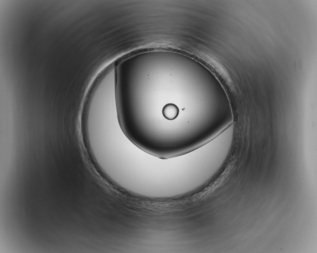 X0000091730936200709141223