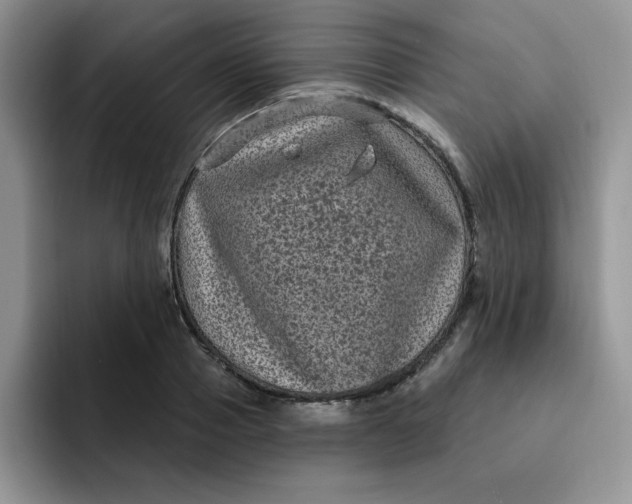 X0000091730937200709141223