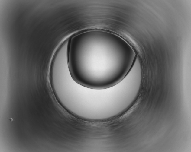 X0000091730940200709141223