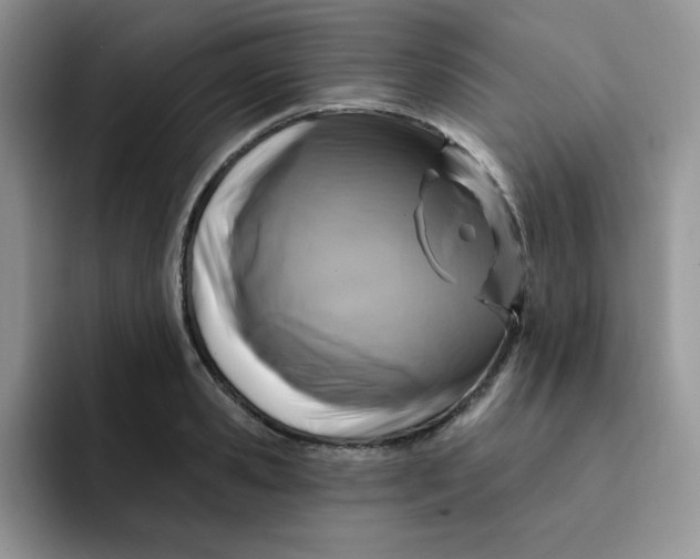 X0000091730941200709141223