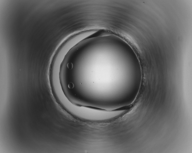 X0000091730942200709141223