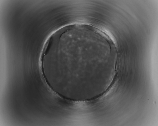 X0000091730944200709141223