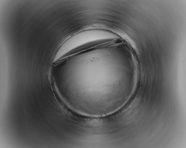 X0000091730945200709141223