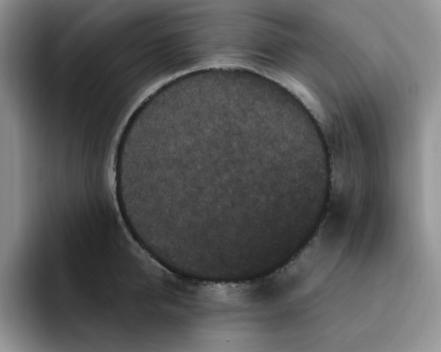 X0000091730950200709141223