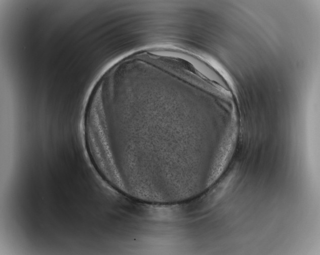 X0000091730951200709141223