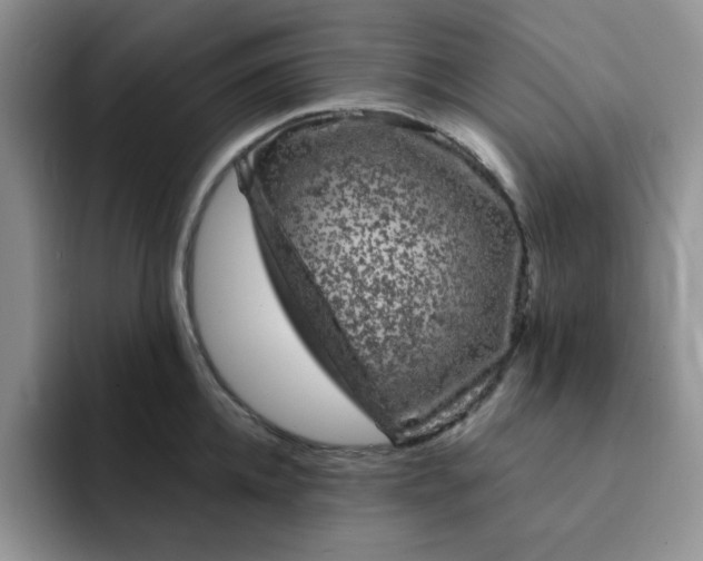 X0000091730952200709141223