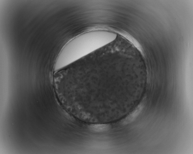 X0000091730953200709141223