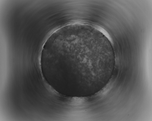 X0000091730954200709141223