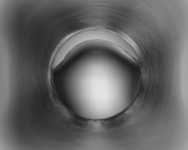 X0000091730956200709141223