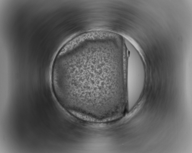 X0000091730957200709141223