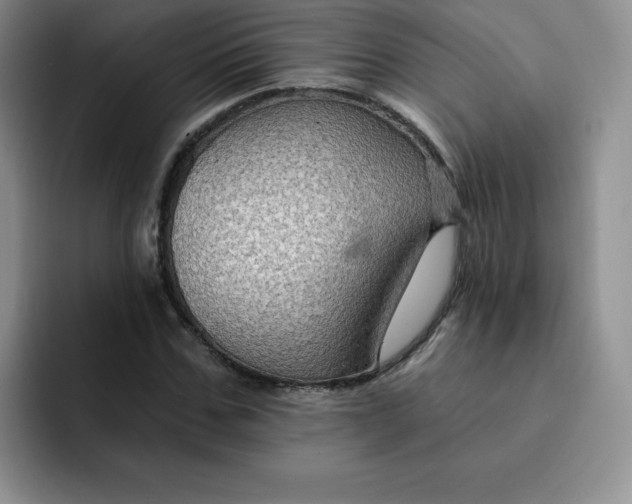 X0000091730971200709141222