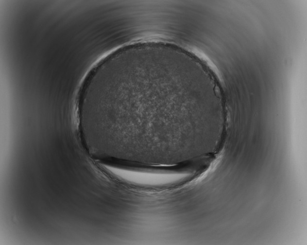 X0000091730973200709141222