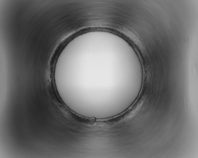 X0000091730974200709141222