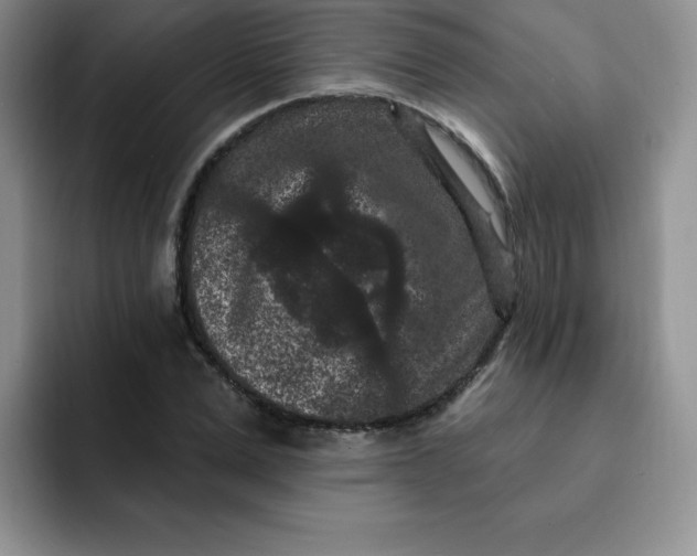 X0000091730975200709141222