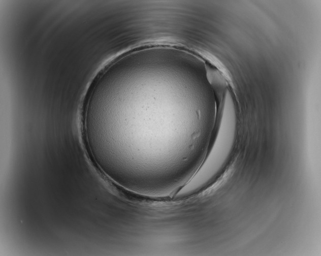 X0000091730989200709141222