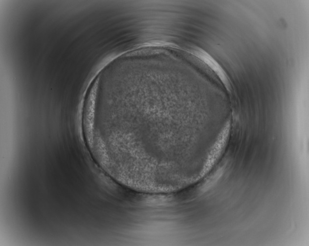 X0000091731002200709141222