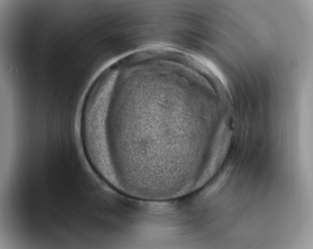 X0000091731007200709141222