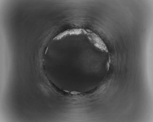 X0000091731009200709141221