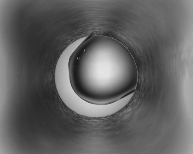 X0000091731010200709141221