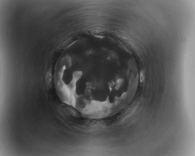 X0000091731011200709141221