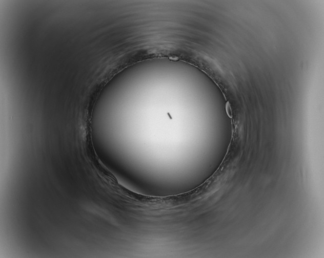 X0000091731012200709141221