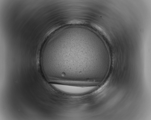 X0000091731017200709141221