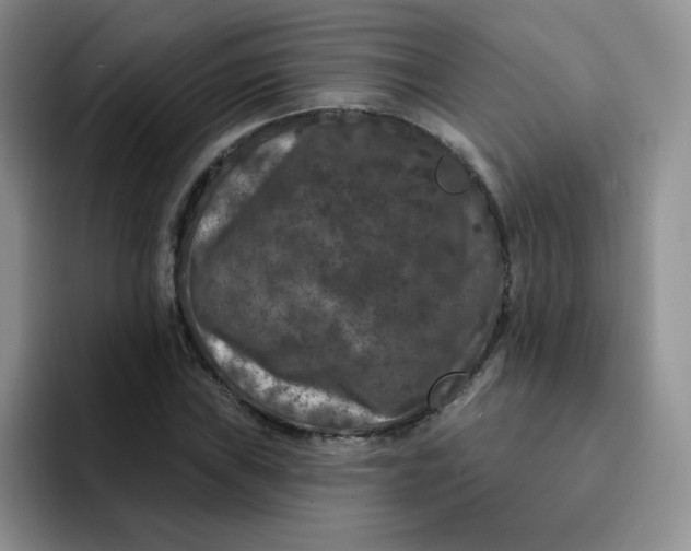 X0000091731019200709141221