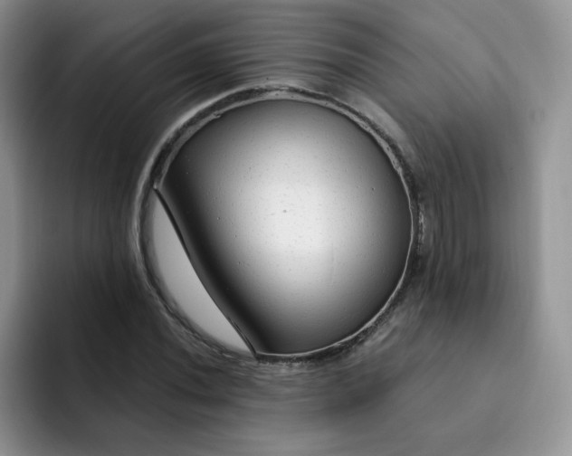 X0000091731020200709141221