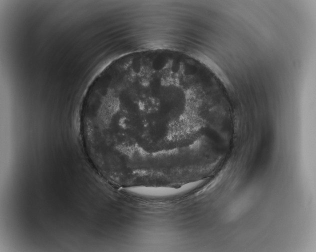 X0000091731023200709141221