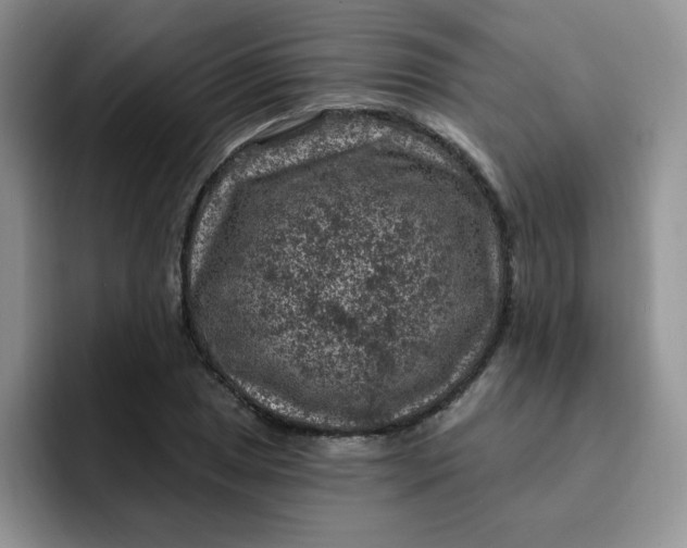 X0000091731025200709141221