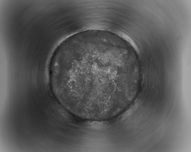 X0000091731027200709141221