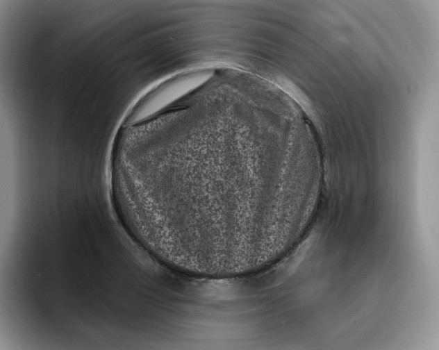 X0000091731028200709141221