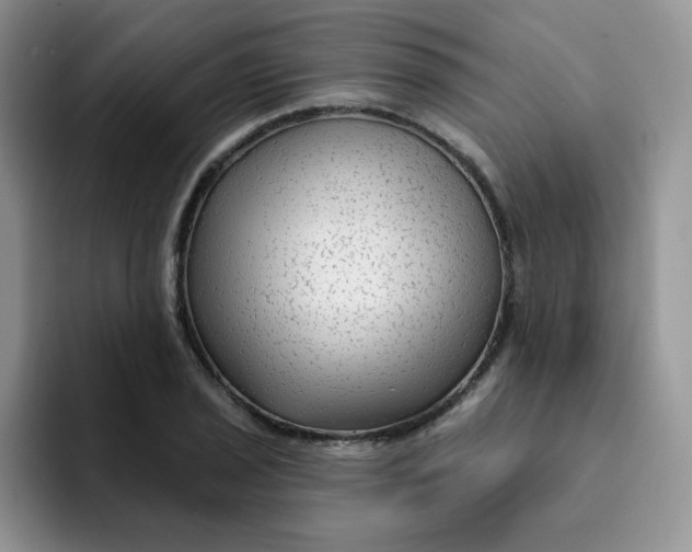 X0000091731029200709141221