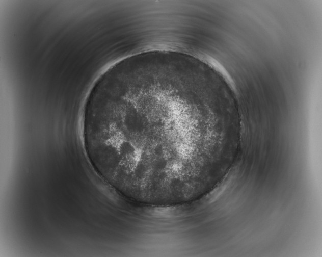 X0000091731035200709141221