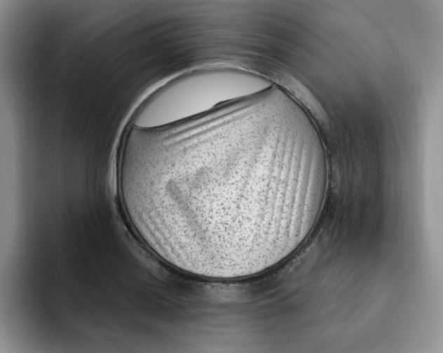 X0000091731036200709141221