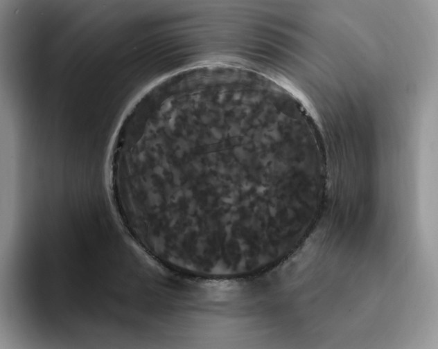 X0000091731037200709141221