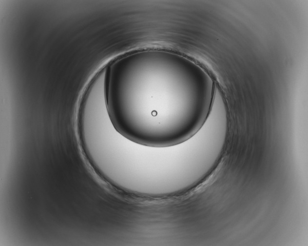 X0000091731038200709141221