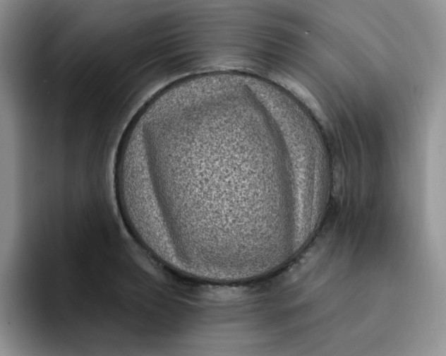 X0000091731039200709141221